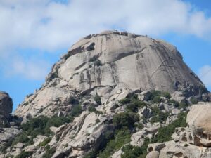 Cooperativa La Roccia: un’oasi di solidarietà